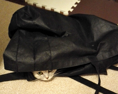 介護用品卸センター