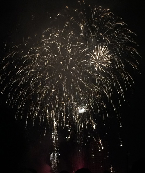 IMG_7842 花火