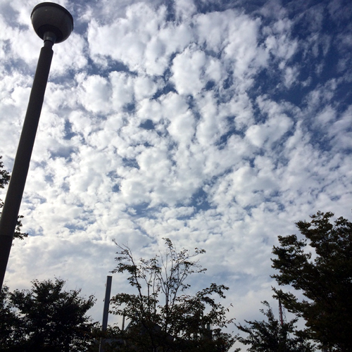 IMG_3967 秋の空