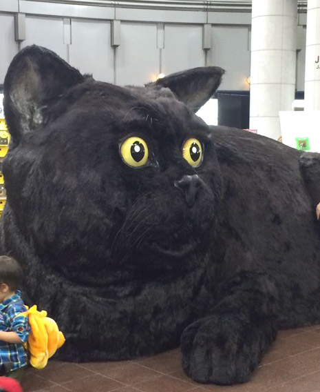 1 巨大クロネコ