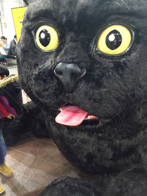 4 巨大クロネコ4