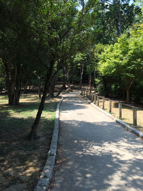 公園 公園