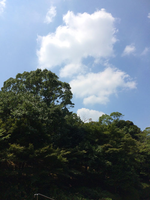 公園2 公園2