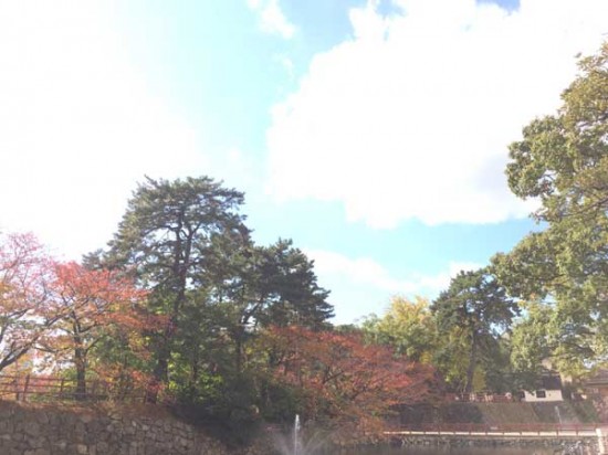 紅葉