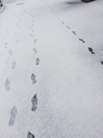 雪の足跡