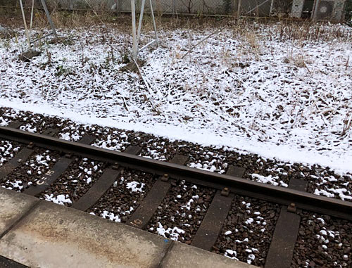 IMG_2805 雪