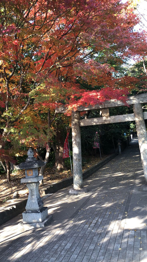 紅葉と鳥居