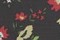 エヴォークSIST01 フラワーブラック