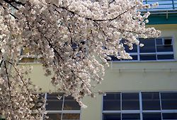 学校のイメージ