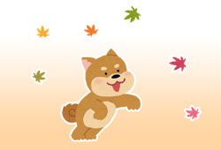 雑種の犬のイメージ