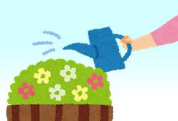 花に水をやるイメージ