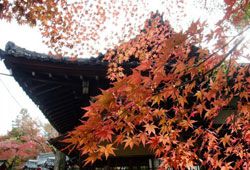 紅葉狩りのイメージ