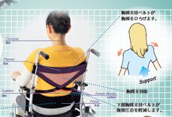 座王の背張りイメージ